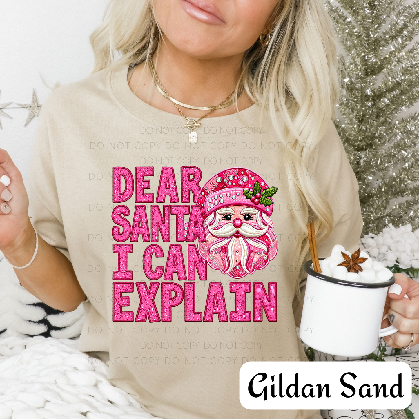 Dear Santa I Can Explain