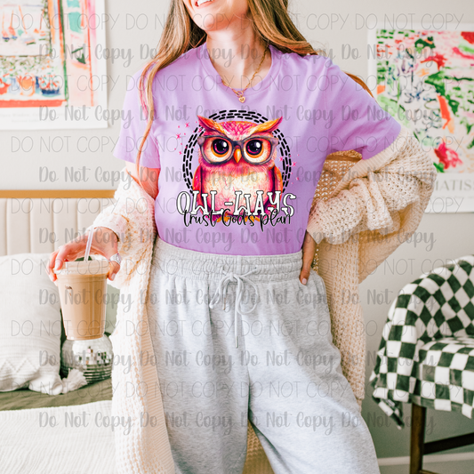 Owl-Ways Trust God's Plan