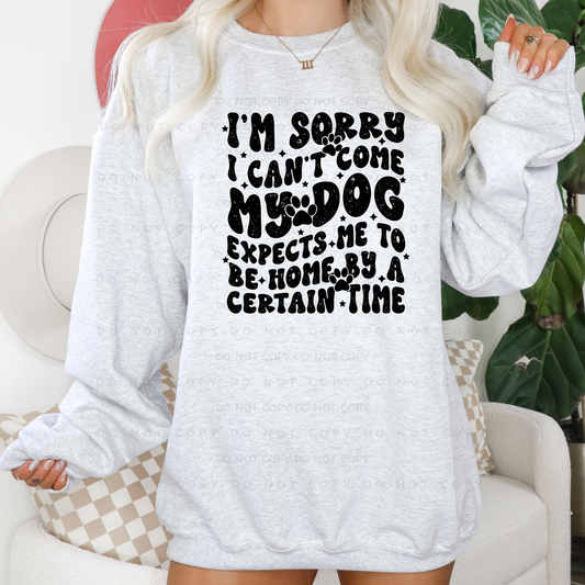 I'm Sorry I Can't Come My Dog Expects Me To Be Home By A Certain Time Shirt