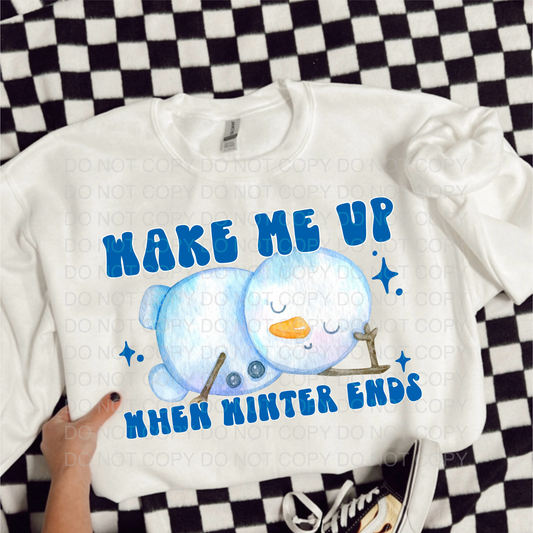 Wake Me Up When Winter Ends