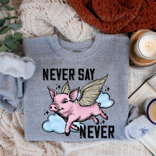 Never Say Never