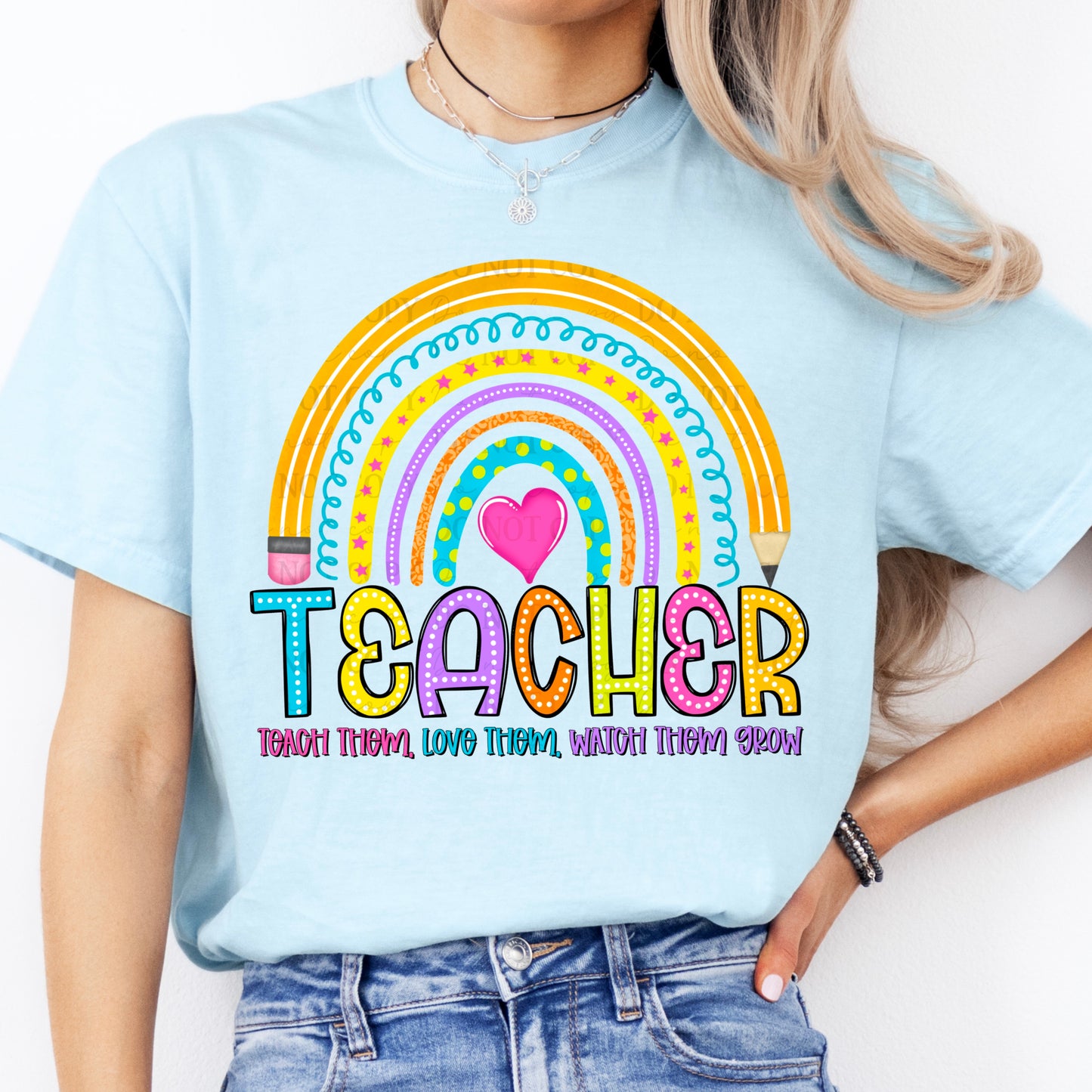 Teacher