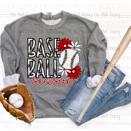 Baseball Season