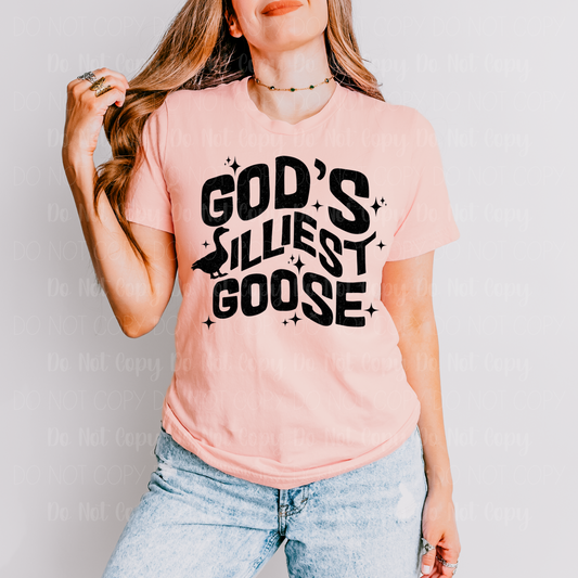 God's Silliest Goose