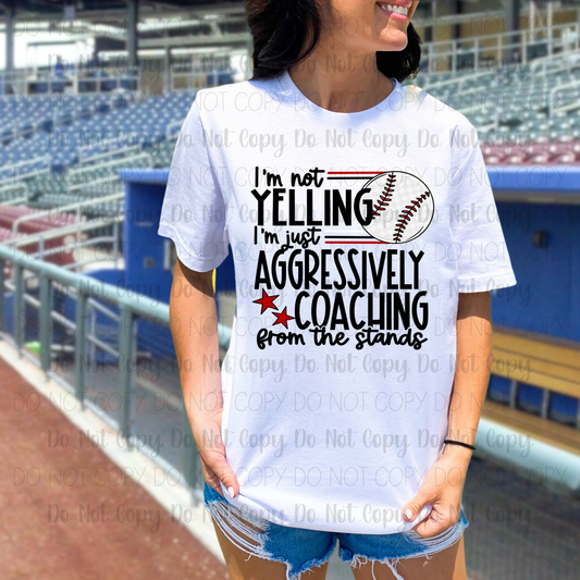 Aggressively Coaching-Baseball