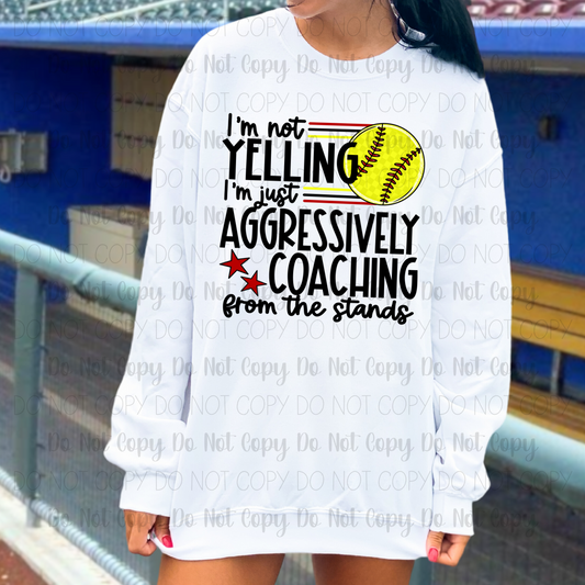 Aggressively Coaching-Softball
